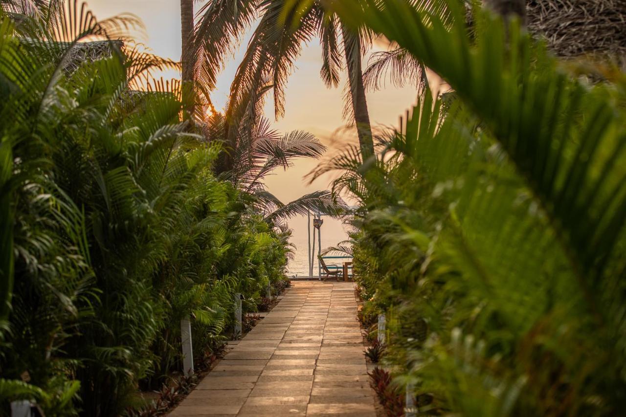 Agonda Shell Beach Resort Canacona Extérieur photo